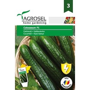 Seminte castraveti Colosseum AGROSEL, 5.15 g