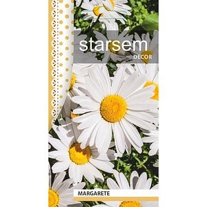 Seminte Margarete STARSEM, alb