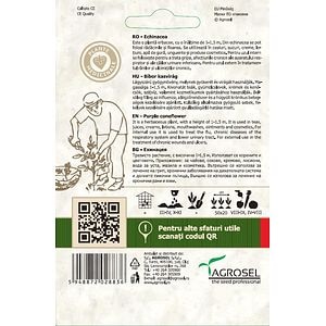 Echinacea