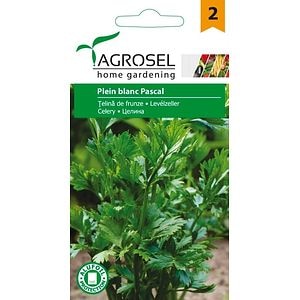 Seminte telina de frunze Pascal Giant AGROSEL, 4.35 g