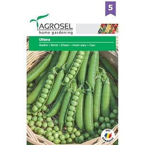 Seminte Mazare Oltena AGROSEL SELECTION