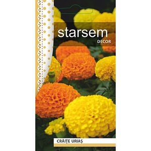 Seminte Craite Urias STARSEM