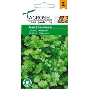 Seminte coriandru AGROSEL, 4.35 g