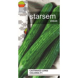 Seminte Castraveti lungi Columna F1 STARSEM