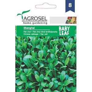 Seminte Pak choi Shanghai AGROSEL, 5.15 g