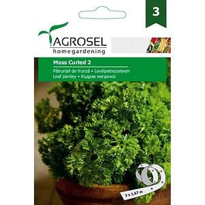 Seminte legume Patrunjel de frunza Moss Curled 3 AGROSEL