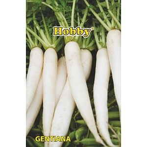 Seminte ridichi Gentiana AGROSEL, 3.45 g