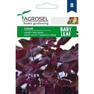 Seminte loboda rosie AGROSEL, 5.15 g