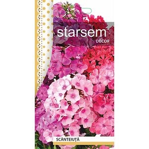 Seminte Scanteiuta STARSEM, roz