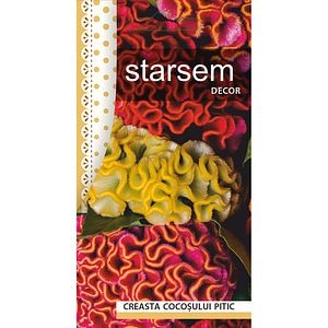 Seminte Creasta Cocosului Pitic STARSEM, multicolor