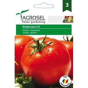 Tomate Moldoveanu F1