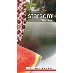 Seminte Pepene verde Semaca F1 STARSEM
