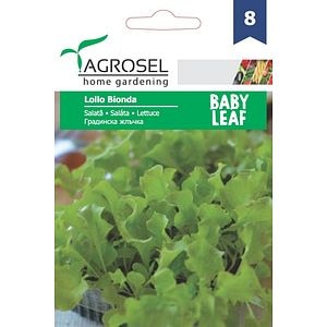 Salata Creata Alba Lollo Bionda