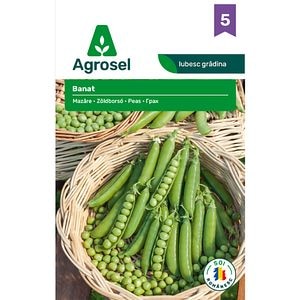 Seminte Mazare Banat AGROSEL