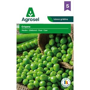 Seminte Mazare Crisana AGROSEL