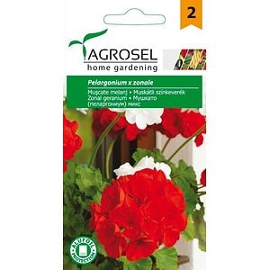 Seminte Muscate AGROSEL, rosu