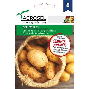 Seminte cartofi (Solanum tuberosum) AGROSEL, 5.15 g