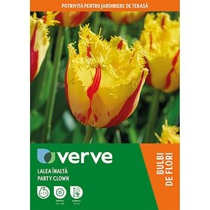 Bulb VERVE Lalea Party Clown, galben
