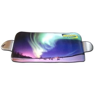 Protectie parbriz BOTTARI, 150 x 70cm, argintiu