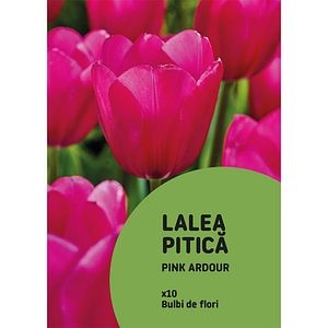 Bulb VERVE Lalea Ardour, roz