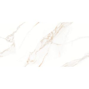 Gresie Interior/Exterior, Alb, portelanata, 120 x 60 cm, suprafata 1,44 mp, PEI 3  Royal Statuario