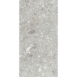 Gresie interior/exterior Ceppo di gres, gri, portelanata, 120 x 60 cm, 1.44 mp/cutie, PEI 3