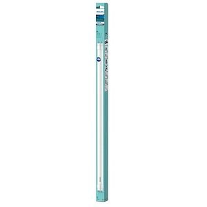 Tub LED T8 PHILIPS, G13 8W, 800lm, 4000K, alb