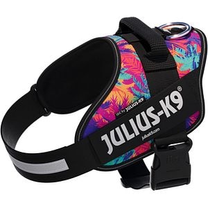 Ham caini JULIUS K-9 IDC Power Vibe, marimea L, multicolor