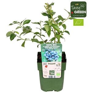 Afin Reka Bio, D 13 cm, H 30 cm