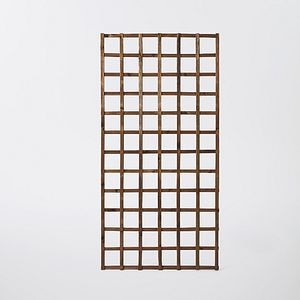 Spalier de gradina, lemn, 180 x 90 cm