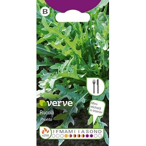 Semințe de rucola Pronto