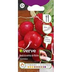 Bandă de semințe de ridiche Carmesa, 6 m