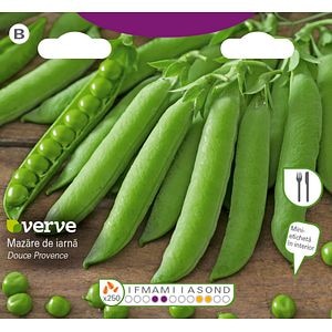 Semințe de mazăre de iarnă Sima