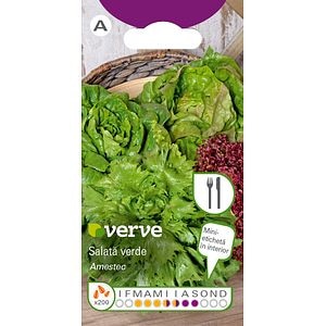 Semințe de amestec de salată verde