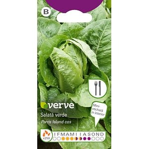 Semințe de salată verde Cos