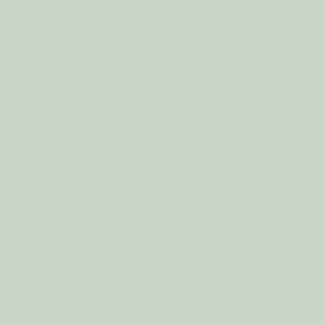 Tapet netesut, 0.53 x 10 m, verde