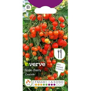 Semințe de roșii cherry Cascade