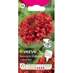 Seminte roata-de-foc (gaillardia) • Verve