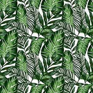 Autocolant VENILIA Plante, PVC, 67.5 x 200 cm, verde