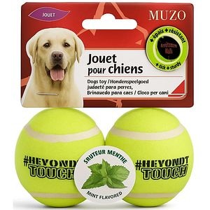 Jucarie pentru caini AGROBIOTHERS Minge Mentolata, 10 cm, 2 bucati, verde