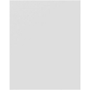 Panou inlocuitor GoodHome Stevia, dreapta, 57 x 72 cm, alb mat