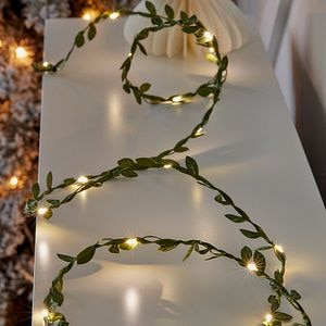 Instalatie Craciun 20 LED-uri, 2.2 m, pe baterie, verde, lumina alb cald