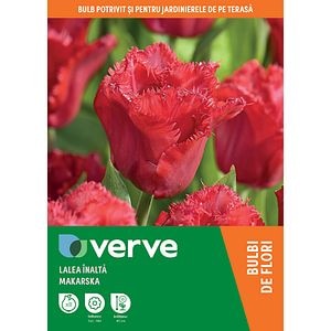 Bulbi VERVE Lalea Makarska, 8 bucati, rosu