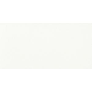Faianta interior Parmina Wand White Monocolour, 29.8 x 59.8 cm, 1.25 mp/cutie, alb