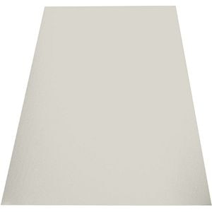 Tabla plana WETTERBEST, 0.5mm, 125 x 300 cm, RAL 9002, alb lucios
