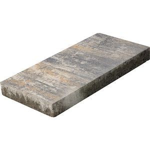 Dala pentru gradina, gri antic, 60 x 30 x 6 cm Roca