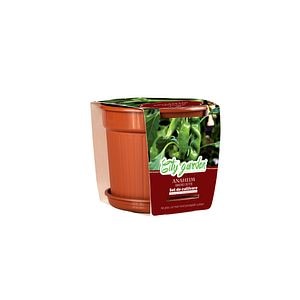 Set de cultivare, ardei iute Chili