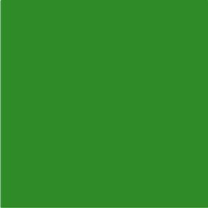 Email uscare rapida, interior/exterior, culoare verde, 0.6 L • Rost