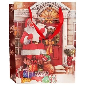 Punga cadou tematica Craciun, L, multicolor