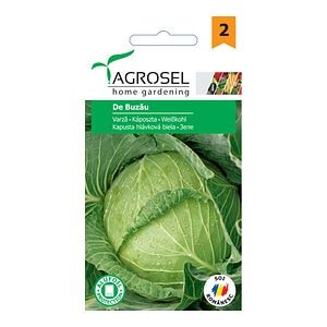Seminte varza Buzau • Agrosel